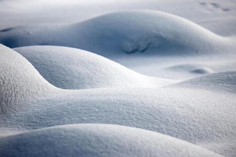 Lumen taju &ndash; ilman lunta luonto ei selvi&auml;isi kylm&auml;st&auml; talvesta | 1Uutiset - Lukemisen t&auml;hden | Scoop.it