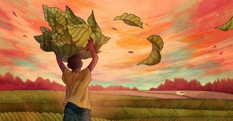 Child Labor in the U.S. Tobacco Industry - The Atlantic&nbsp; | Operation Phobos | Scoop.it