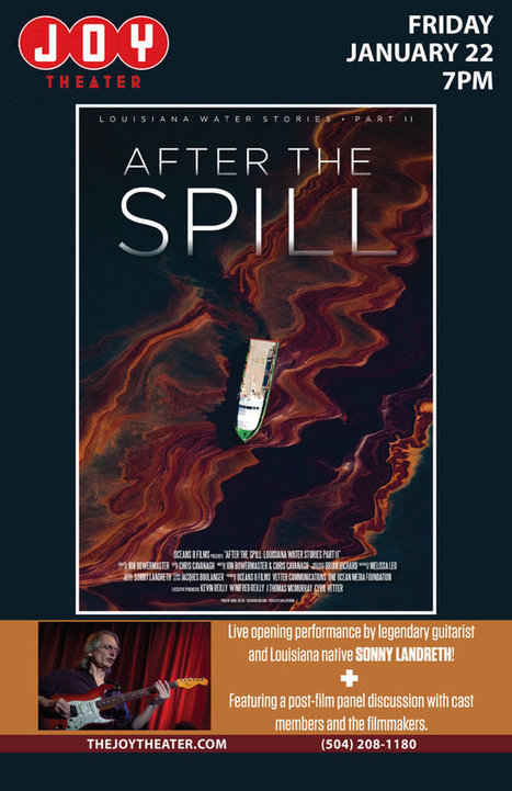 After the Spill: Oil & Coastal Wetland Loss | Coastal Restoration | Scoop.it