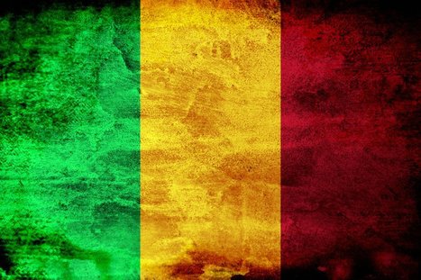 Mali : des djihadistes attaquent une prison et libèrent une cinquantaine de prisonniers | Actualités Afrique | Scoop.it