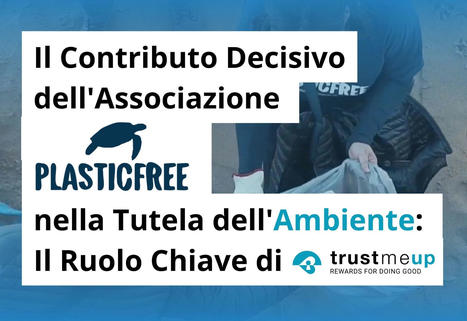 Associazione Plastic Free Nella Tutela Dell'ambiente - TrustMeUp | TrustMeUp | Scoop.it