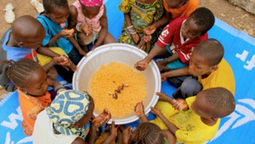 2,8 millions de Sénégalais sous-alimentés | Questions de développement ... | Scoop.it