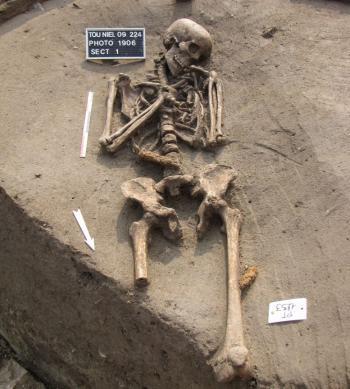 Saint-Raymond. Les Celtes aimaient le vin, le b&oelig;uf et les bijoux en bronze - La D&eacute;p&ecirc;che | Net-plus-ultra | Scoop.it