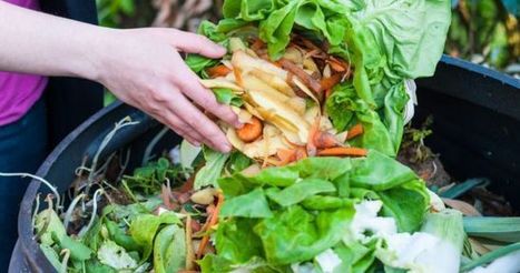 CGF Launches Coalition Of Action On Food Waste | Sustainable Procurement News | Scoop.it