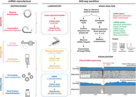 mRNA vaccine quality analysis using RNA sequencing | Nature Communications | veille vaccination | Scoop.it