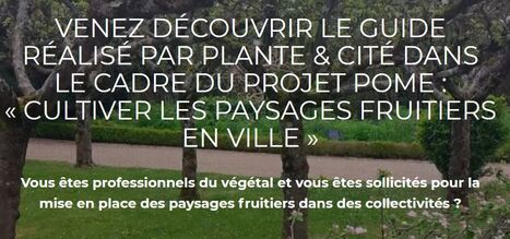 Projet POME et Guide "Cultiver les paysages fruitiers en ville" | HORTICULTURE | Scoop.it