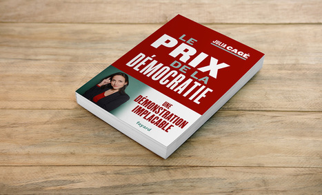 Livre "Le prix de la démocratie" : des data et graphiques inédits pour voir comment depuis des décennies, le jeu démocratique est de plus en plus capturé par les intérêts privés. | Journalisme graphique | Scoop.it