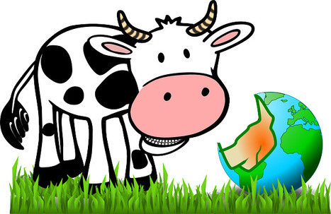 Minority  languages: Cookies, caches and cows | Creative teaching and learning | Scoop.it