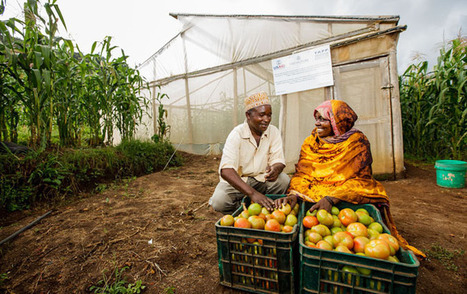 TANZANIA | High level farmers' forum towards successful African year of agriculture | Food & Nutrition Security in East Africa | Scoop.it