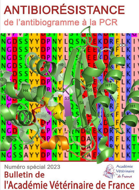 BAVF Antibiorésistance - Académie Vétérinaire de France | Actualités de l'élevage | Scoop.it
