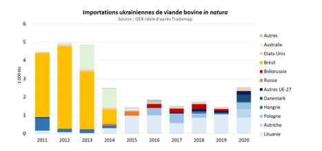 Guerre en Ukraine : impact quasi nul sur les exportations Françaises de viande bovine et de bovins vivants | Actualité Bétail | Scoop.it