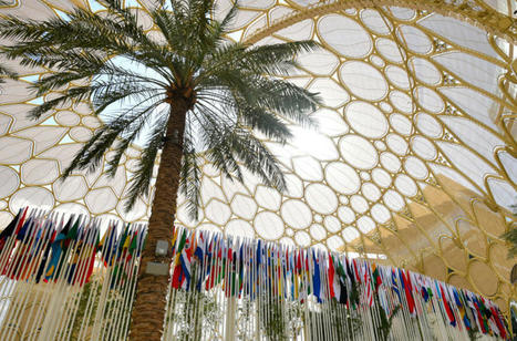 After Dubai — Towards a “just, orderly, and equitable” fossil fuel phase out | Energy Transition in Europe | www.energy-cities.eu | Scoop.it