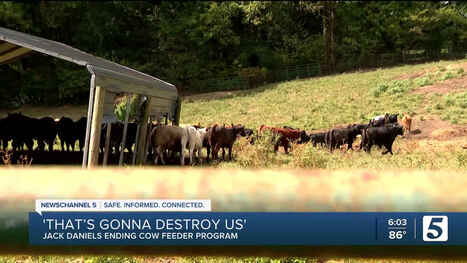 Jack Daniel's Cuts Off Free Cattle Feed To Tennessee Farmers | Industry 411 - Waste Management | Scoop.it