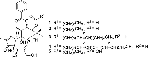 Isolation, Structure Determination, and Anti-HIV Evaluation of Tigliane-Type Diterpenes and Biflavonoid from Stellera chamaejasme | Natural Products Chemistry Breaking News | Scoop.it