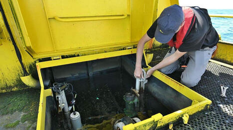 La science se mobilise pour protéger la filière conchylicole de l’acidification des océans | HALIEUTIQUE MER ET LITTORAL | Scoop.it