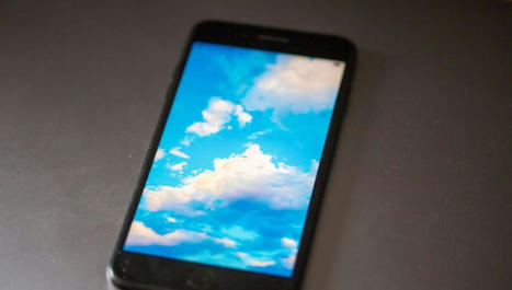Bluesky aura-t-il la peau de Twitter ? | EntomoScience | Scoop.it