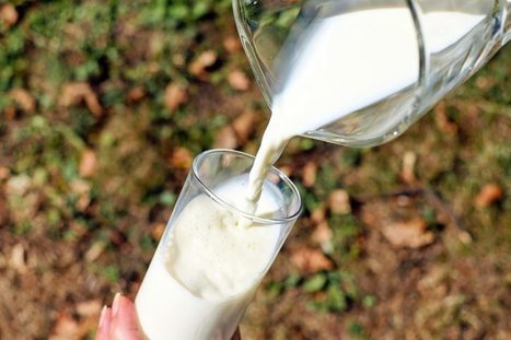 Via Lacta, un lait éco-responsable garanti sans OGM à Arras | Lait de Normandie... et d'ailleurs | Scoop.it