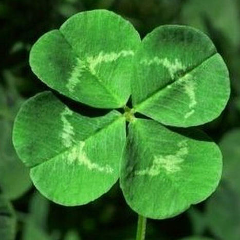 &iquest;Emprendedor o empresario? #ActitudSocial | El rinc&oacute;n del Social Media | Scoop.it