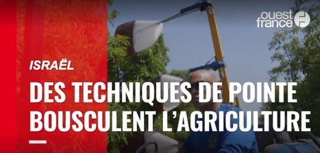 En Israël, des techniques de pointe bousculent l'agriculture - Ouest France | Pour innover en agriculture | Scoop.it