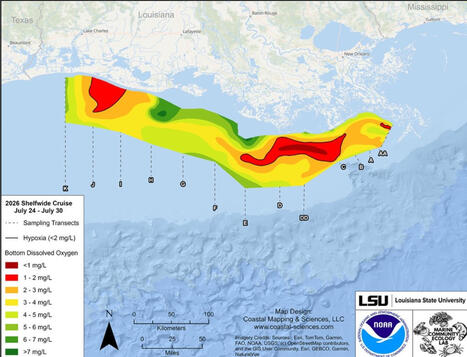 Map Shows Massive Fish-Killing &lsquo;Dead Zone&rsquo; Missing Oxygen Near Gulf Coast - Newsweek | Operation Deimos | Scoop.it