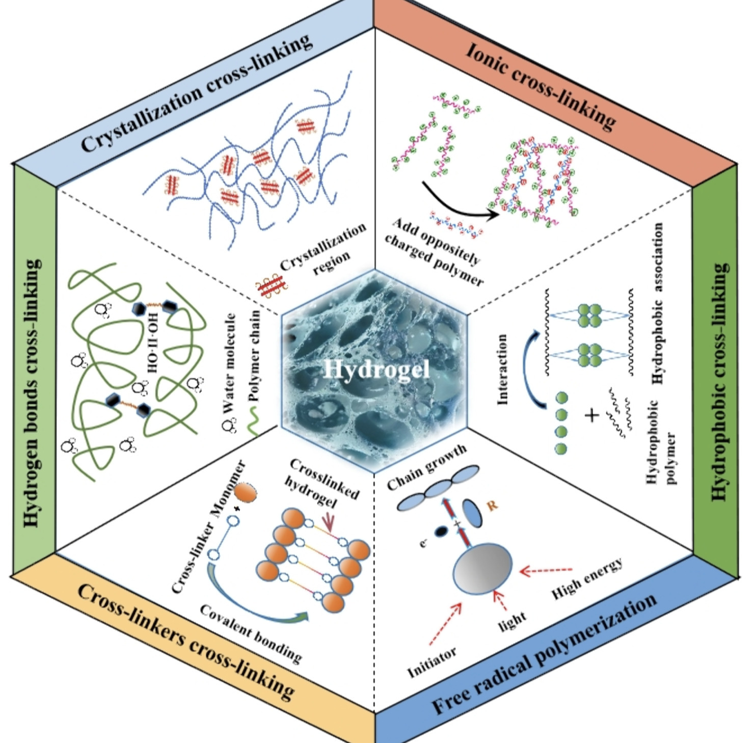 Rational Design of a Multifunctional Hydrogel T...