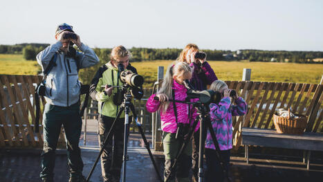 T&auml;t&auml; luontoel&auml;myst&auml; tullaan katsomaan ulkomailta asti - "Pys&auml;ytt&auml;v&auml; kokemus" | 1Uutiset - Lukemisen t&auml;hden | Scoop.it