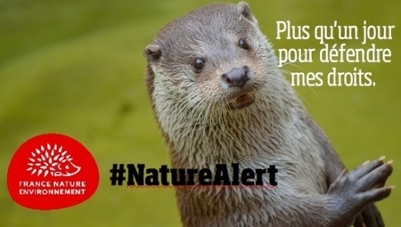 Un nombre record de citoyens se sont exprimes en faveur de la protection de la nature en Europe | Plan&egrave;te, Nature et Biodiversit&eacute; | Scoop.it