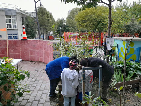 Le jardin partagé Pali Kao un poumon de verdure porteur de convivialité au cœur du Bas-Belleville | Energy Transition in Europe | www.energy-cities.eu | Scoop.it
