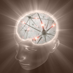 Making Sense of the World, Several Senses at a Time | Amazing Science | Scoop.it