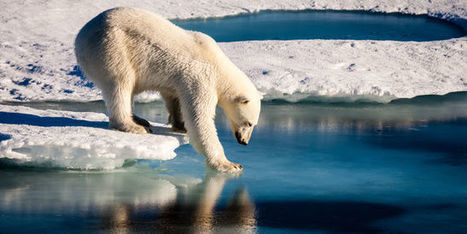 En Arctique, la température excède la normale de 20 °C | Changement climatique & Biodiversité | Scoop.it