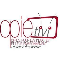 OpieTiVi, l'antenne des insectes | Culture scientifique et technique | Scoop.it