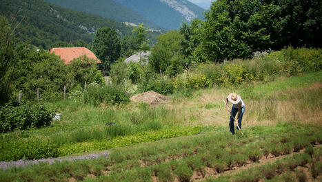 Agriculteurs bio : un contre-modèle ?  | Revue de presse économique du Sud Touraine | Scoop.it