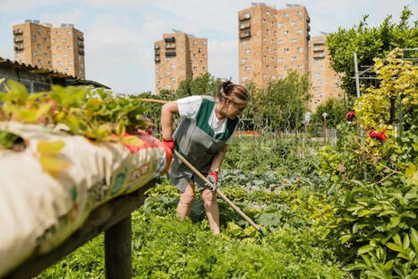 Contre les tractopelles, les jardins populaires entrent en résistance | Paysage - Agriculture | Scoop.it