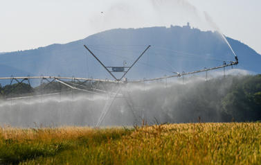 Agriculture : de nouvelles simplifications &agrave; l'&eacute;tude | Environnement - &Eacute;nergie | Scoop.it