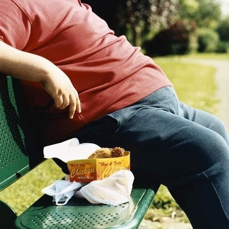 Las 10 peores comidas que te hacen subir de peso | PIENSA en VERDE | Scoop.it