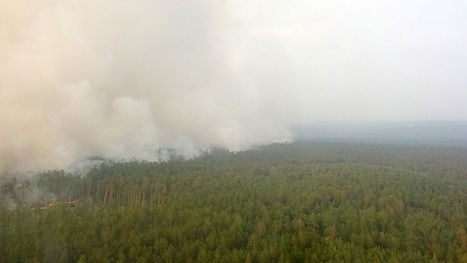 Tekoälyn ohjaama drooni hälyttää metsäpalosta? Tutkijat uskovat, että teknologia voi pelastaa meidät valtavilta maastopaloilta | Yle Uutiset | yle.fi | 1Uutiset - Lukemisen tähden | Scoop.it