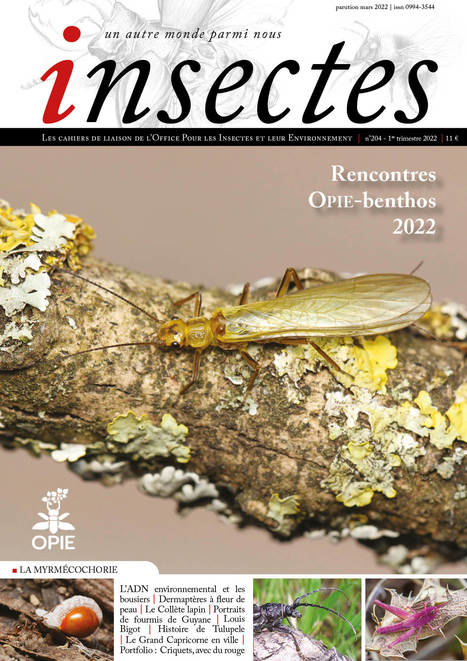 Au sommaire du tout prochain numéro de la revue 'Insectes' (n° 204 - 1er tr. 2022) de l'OPIE | Variétés entomologiques | Scoop.it