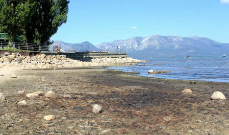 Drought impacts: Tahoe likely to drop below rim in 3 months | TheUnion.com | Operation Deimos | Scoop.it