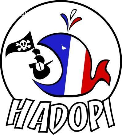 Hadopi : condamné pour un seul titre, flashé 150 fois | Chronique des Droits de l'Homme | Scoop.it