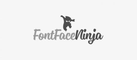 Identifica y descarga la fuente de cualquier web con Fontface Ninja | TIC & Educación | Scoop.it