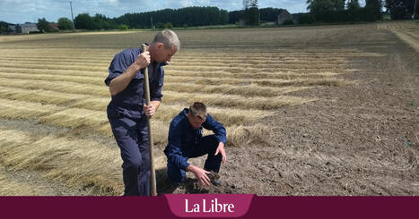 Bio-intrants : du purin d'ortie pour remplacer les pesticides au sein des cultures agricoles  | Questions de développement ... | Scoop.it