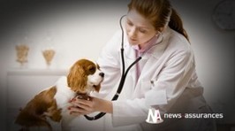 L’antigel, un produit très toxique pour le chien et le chat | Toxique, soyons vigilant ! | Scoop.it