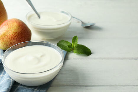 Live Active Cultures Yogurt Explored in Depth | Call: 915-850-0900 or 915-412-6677 | Healthy Foods | Scoop.it