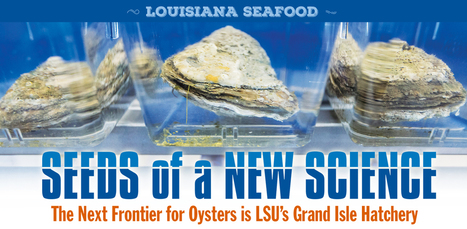 Seeds of a New Science - Know Louisiana | Coastal Restoration | Scoop.it