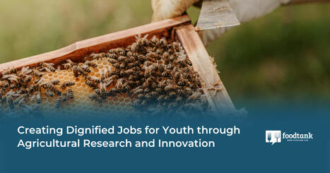 Creating Dignified Jobs for YOUTH through Agricultural Research and Innovation&nbsp; | CIHEAM Press Review | Scoop.it