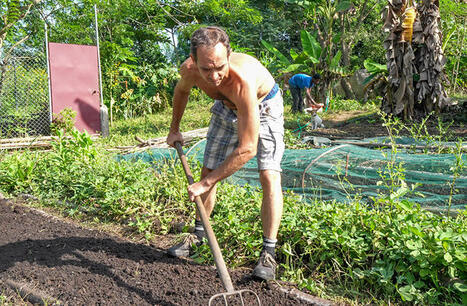 Une r&eacute;ponse agro&eacute;cologique face aux d&eacute;fis agricoles | Questions de d&eacute;veloppement ... | Scoop.it