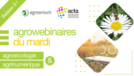 Agrowebinaire du mardi 4 mai : "Quelle place pour l&rsquo;agro&eacute;cologie dans les fermes urbaines professionnelles ?" | TRANSITION AGROECOLOGIQUE : PRATIQUES ET POLITIQUES AGRICOLES | Scoop.it