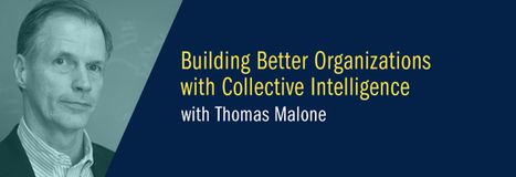 Building Better Organizations with Collective Intelligence - Home | Co-creation in health | Scoop.it
