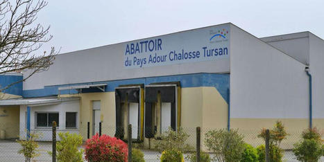 Landes : l’abattoir d’Hagetmau change de main en douceur | La Gazette des abattoirs | Scoop.it