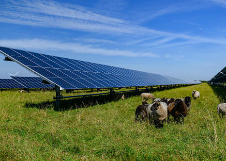 Développement de l’agrivoltaïsme : le guide technique est paru | Transition énergétique territoriale | Scoop.it